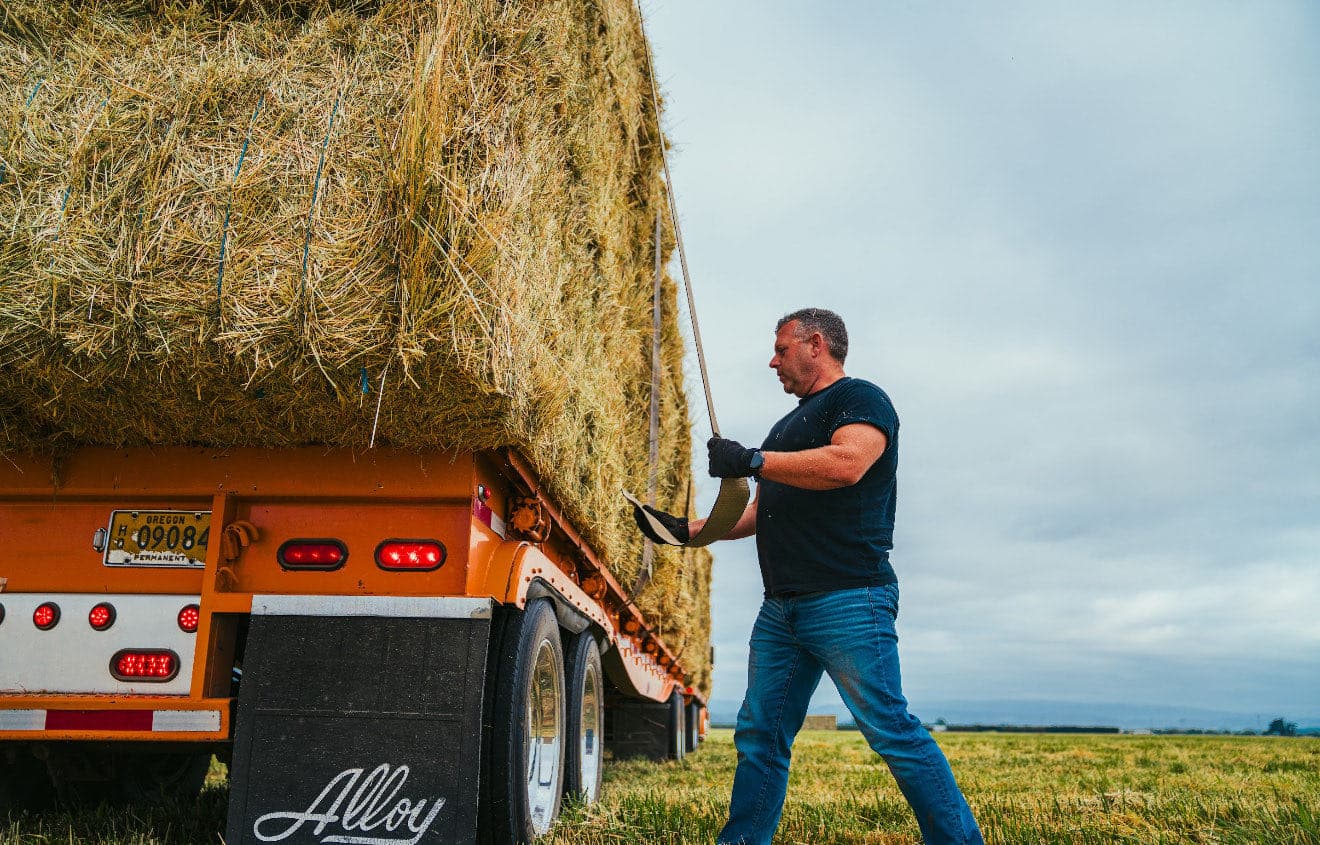 A driver throwing a strap over a stacked hay load on an orange flatbed trailer in a field
